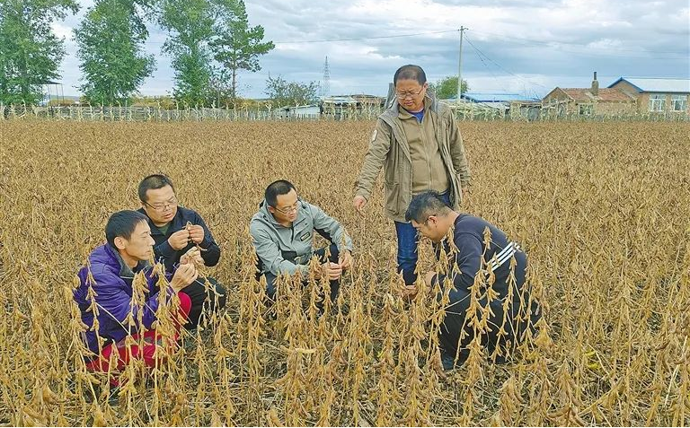 中央一号文件里的内蒙古实践种业振兴篇相关图片